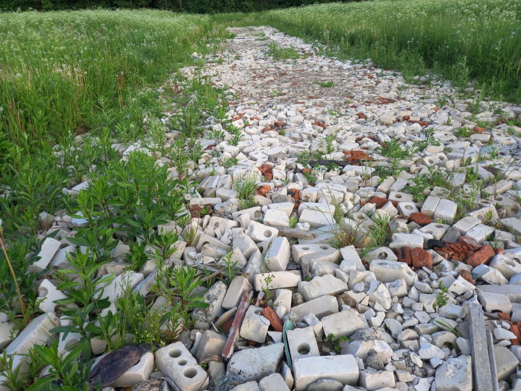 ������ �������: ��� ���������� �������� ������� � �������� �������� ������ �������