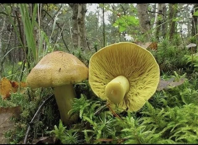 ����� � �������� �����: ��� ������ �����?