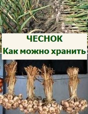 ������� �������� �������: ��� ��������� ���� � �������� ��������