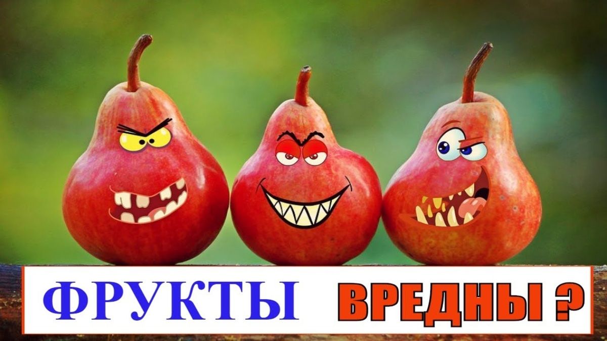 ����� �� �������: ������ ����� ������������ ���� ������� ��������