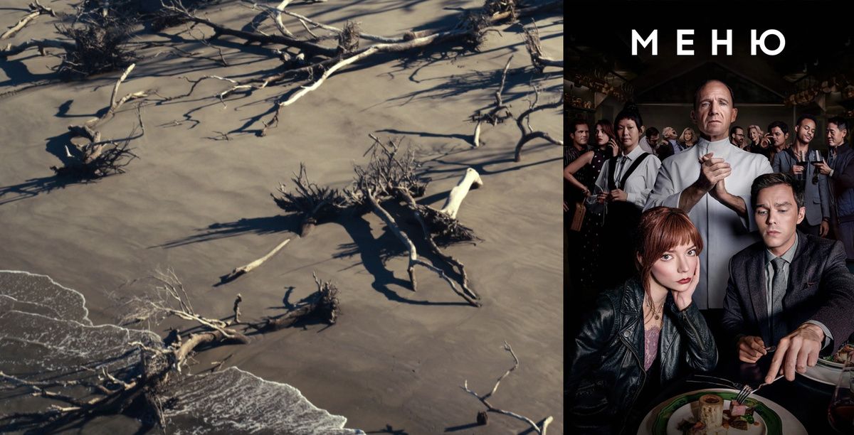 ������������ ����: ��� ���������� ������� ������� � �����������