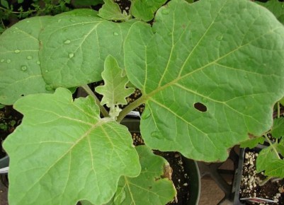 ����� ��������� ������� ������� �������� � ������ ����