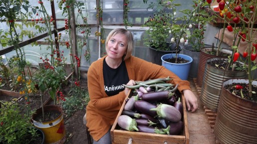 ��� ��������� �������� ������� ����������: ������� � ������