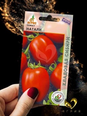 ����� ������: ��������� ����� ��� ������ �������