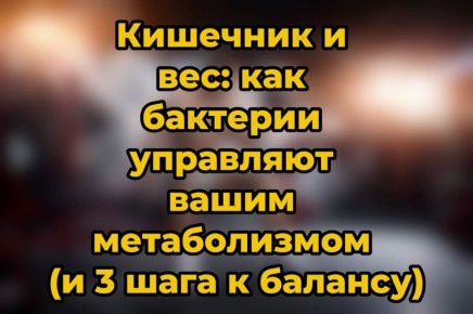 Как кишечные бактерии влияют на ваш метаболизм и вес