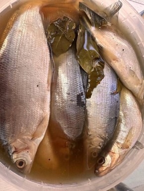 ������ ������� ������: ����, ������� �������� ������