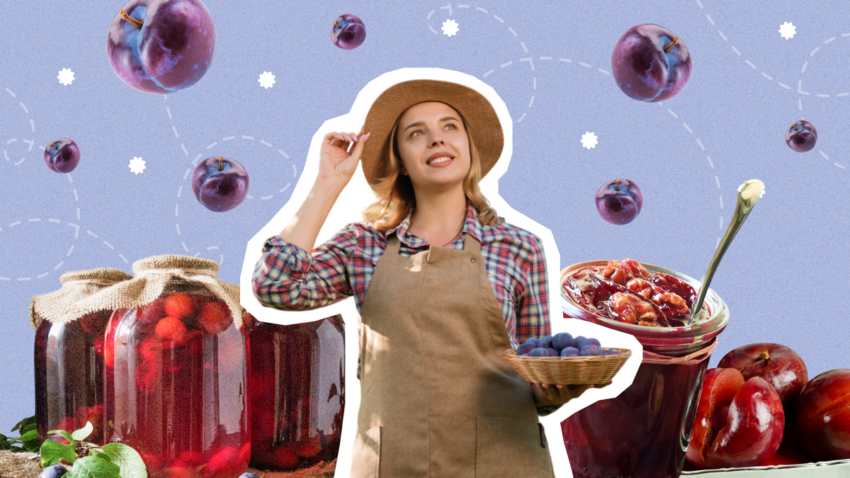 Вкусные заготовки из сливы на зиму: рецепты, которые стоит попробовать