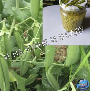 ��� ����� � ������ �������������� ������ ������� ��� ������