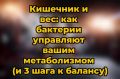 Как кишечные бактерии влияют на ваш метаболизм и вес