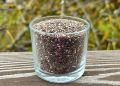 Как вырастить зелень из семян чиа для украшения блюд
