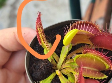 5 ���������������� ������ � ����� �� ��������� ����������