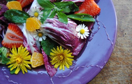 Цветы на вашей тарелке: как природа вдохновляет кулинарию