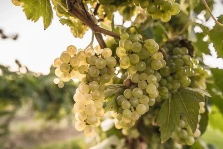 ���������� ��������� ��������: ������ ������ � ���������������� ���������