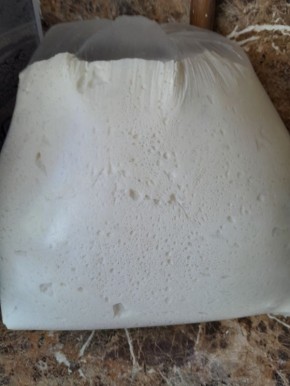 Как приготовить идеальные беляши: секреты и советы