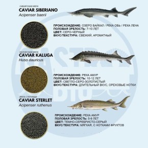 ���� �� ����� ��������: 9 ������������ ������ �� ����� ����