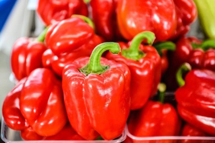 ����� ���� ������ ������: ��� ����� ����� �� �������� ��������� ���