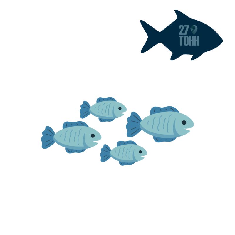 ���� ���� �� ������� �����: ��� ���������� � ���������?