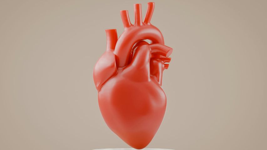 ��������, �������������� �������� ������ ������