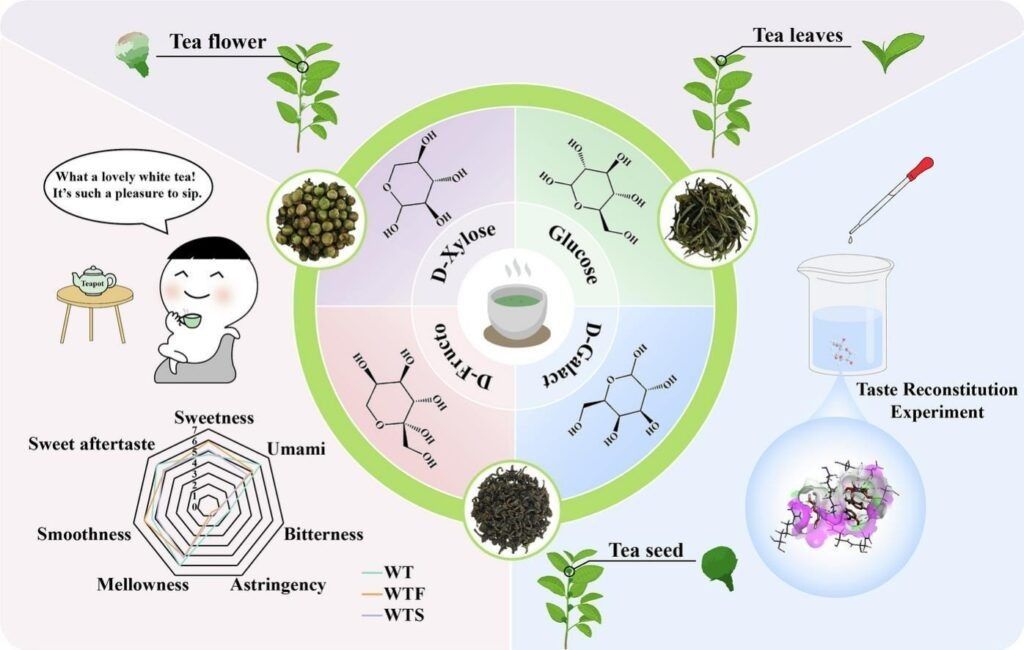 ��� ����� ������������ ������� ��� ������ �� ����� ���