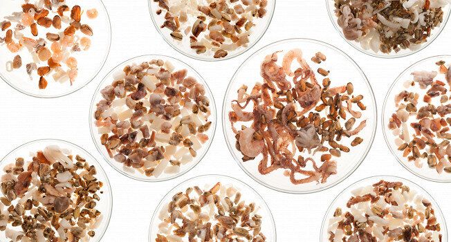 ��� ������������ ������� ���������