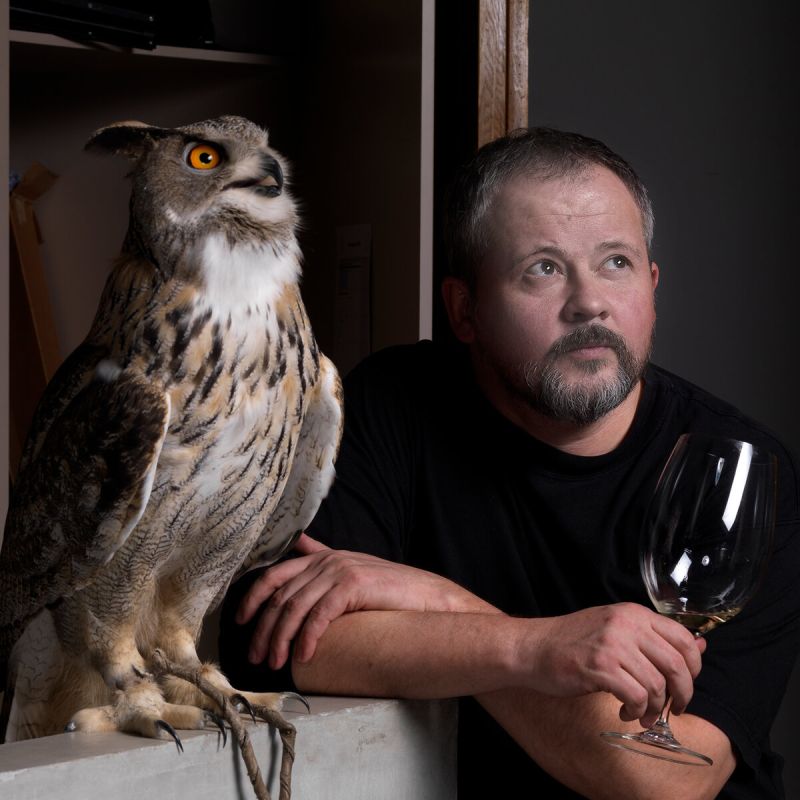 ������ ������ ������ ���������: ������ ���-���������� � ���� ��������