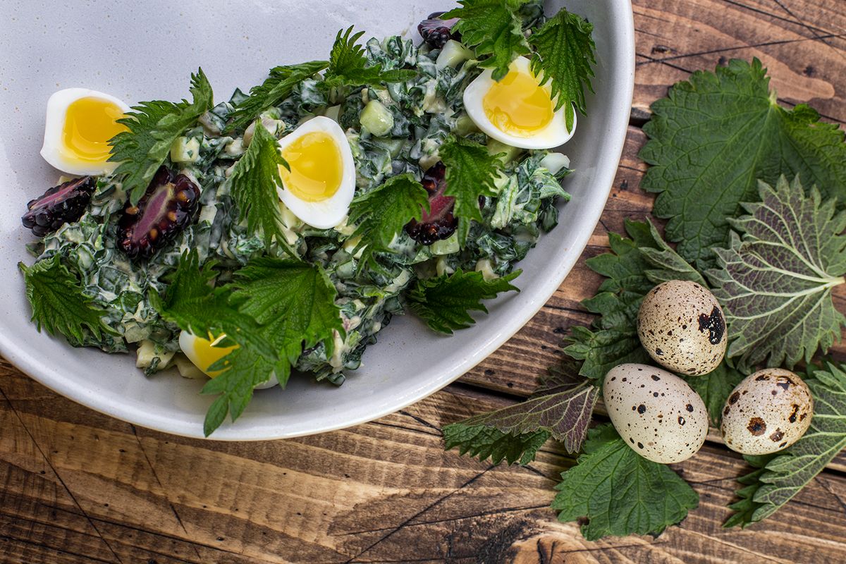 Необычный салат с крапивой: вкус и здоровье на одной тарелке