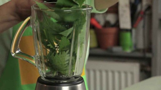Смузи для растений: секреты эффективной подкормки