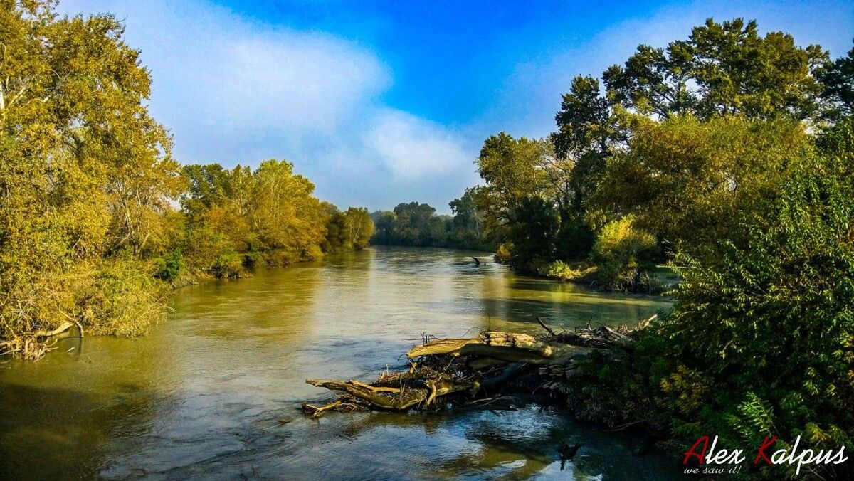 ������� �� ���� �������: ����������� ����������� � �������