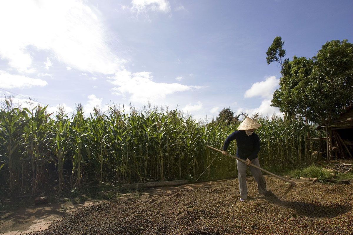 ���� �� ��������: �� ������������� ������������ �� ������������� �������