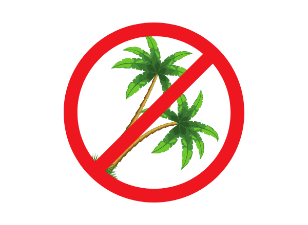 Что такое пальмовое масло?