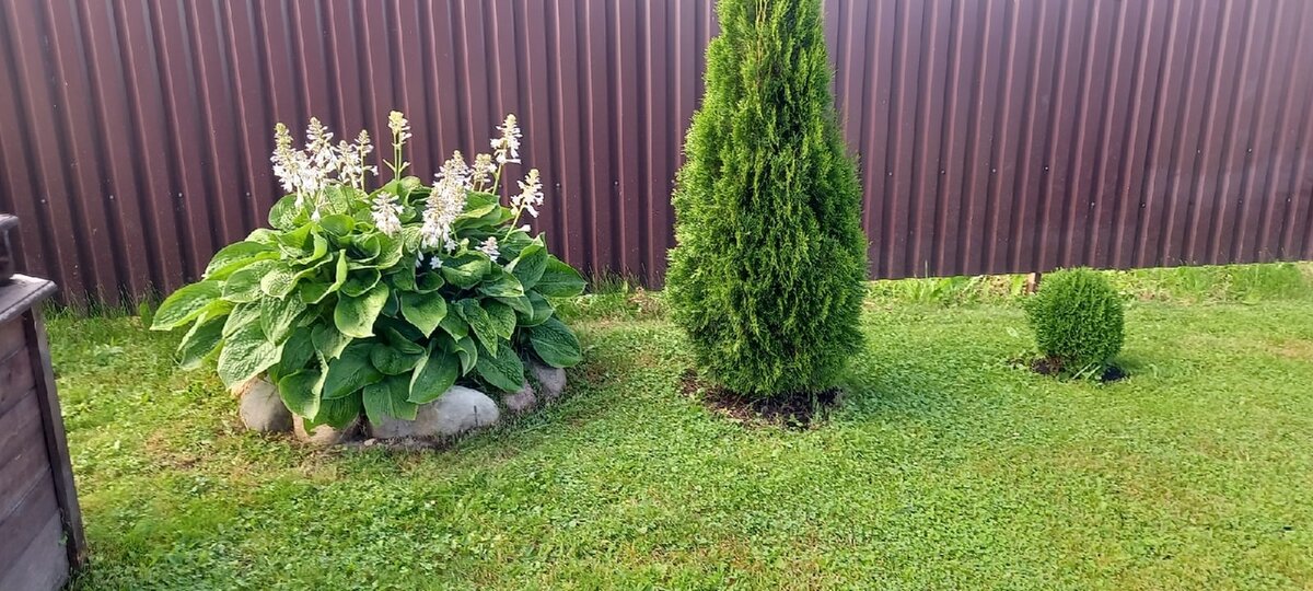 Как создать великолепный сад без больших затрат: вдохновляющие приемы