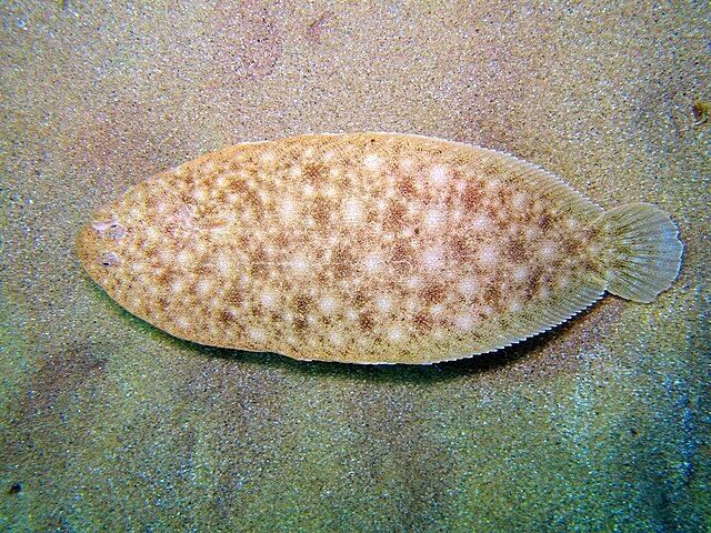 ��������� �������: ������� ����� � �������� ������� ����