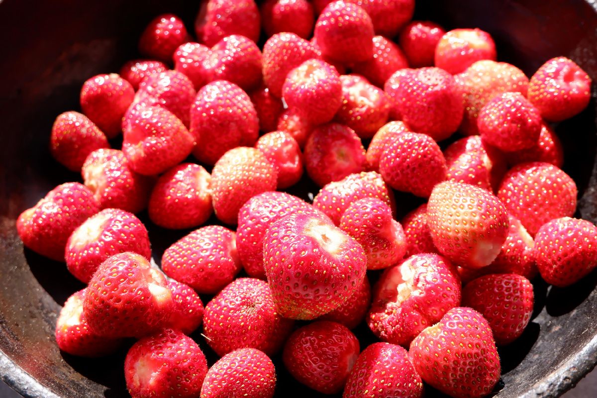 ���������� �������: ��� ��������� ������ ���� �����