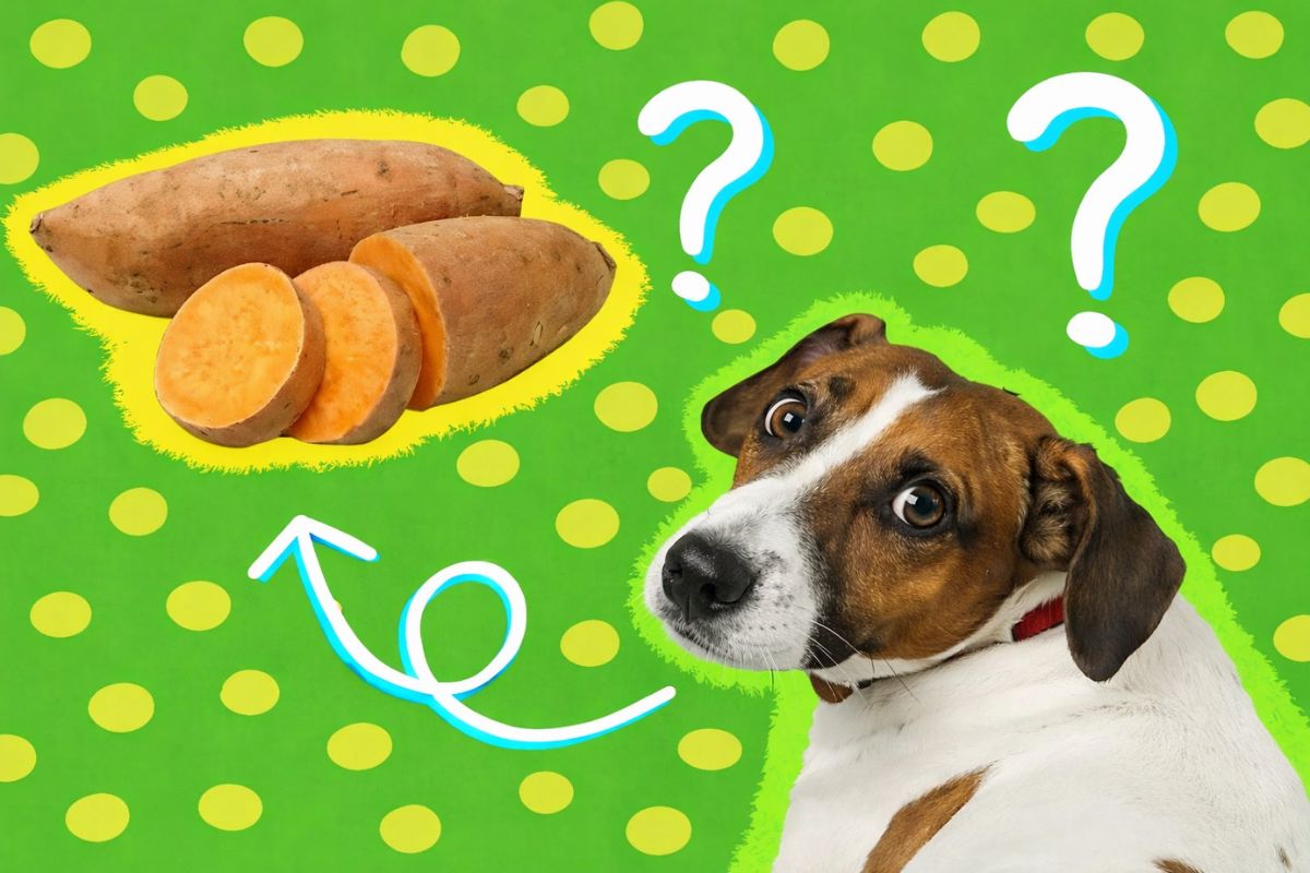 ������� ��������� ��� �����: �������� ��� ������� ��������?