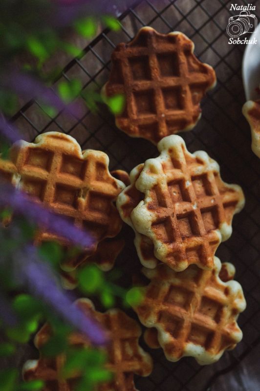 ������� ��������� �����: ��� ��������� ������