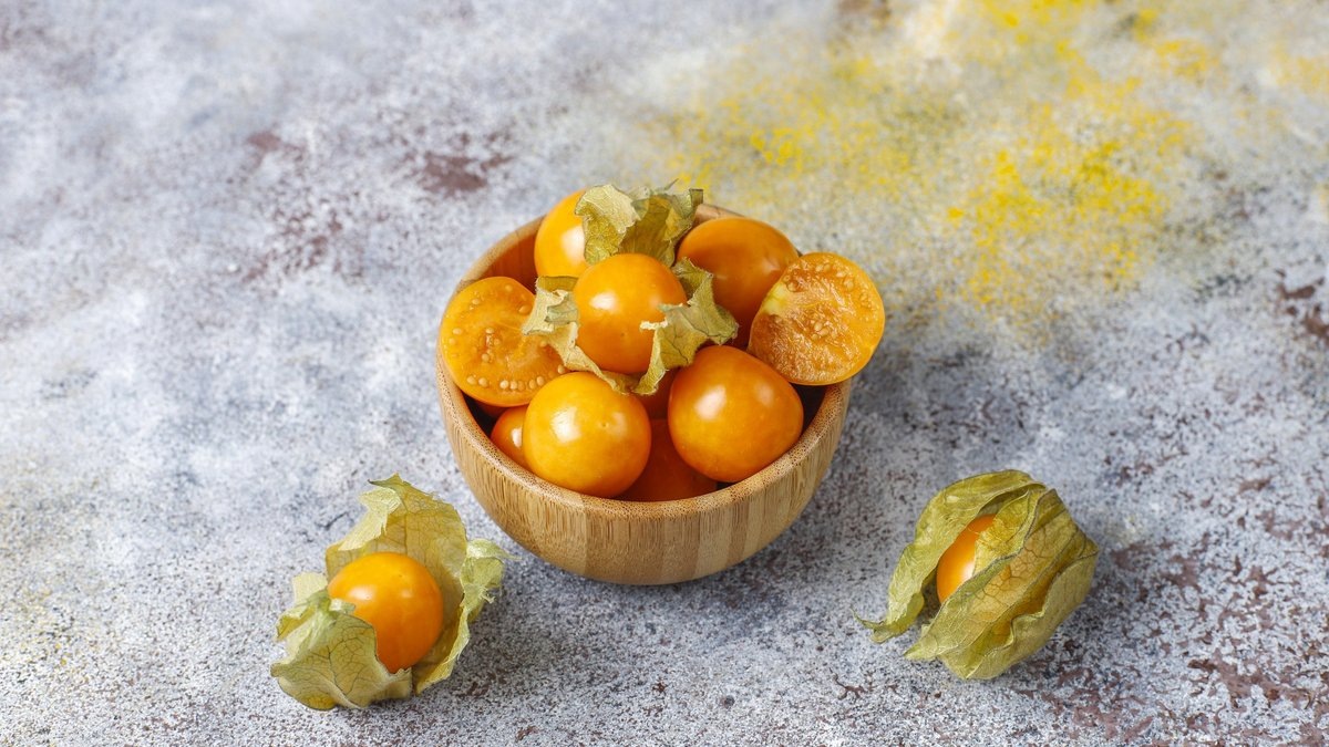 Физалис: как CRISPR превращает ягоду в суперфуд будущего