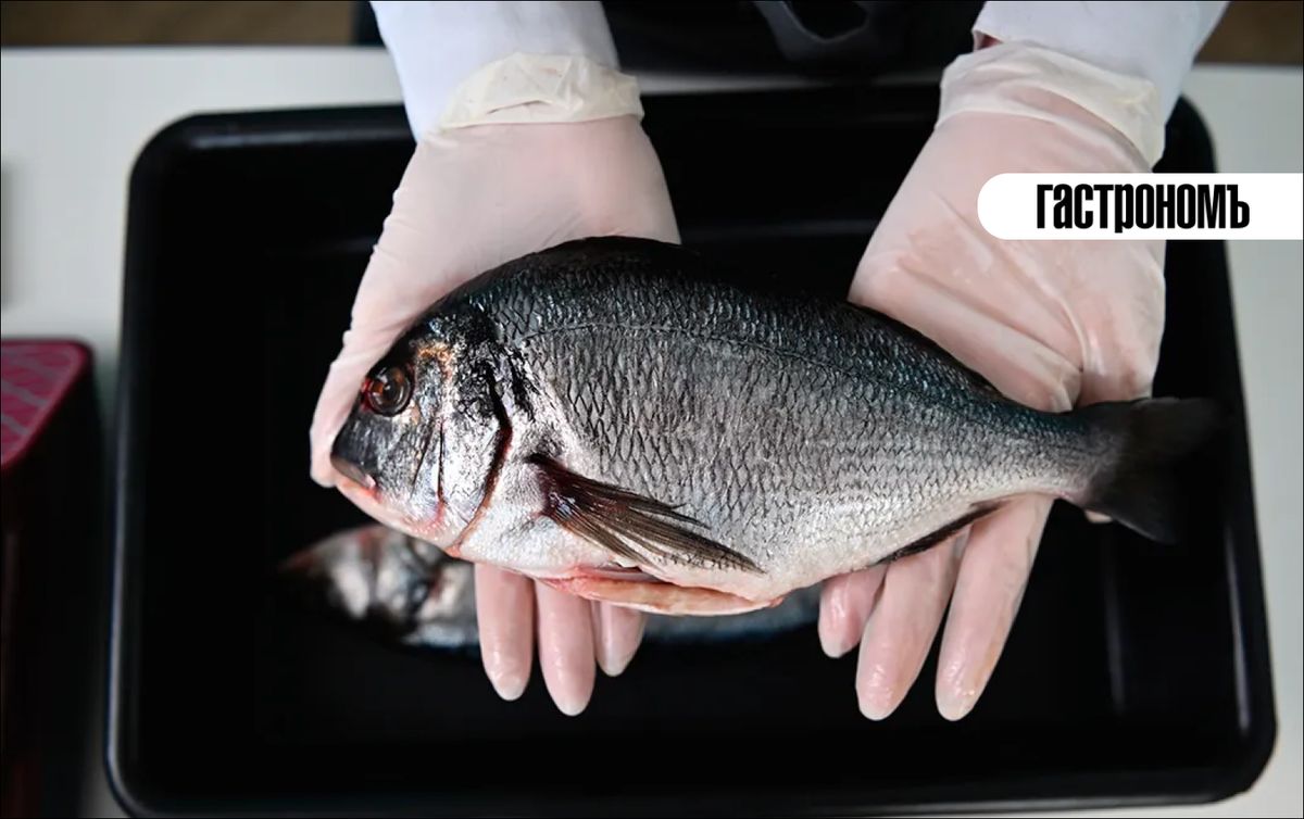 ��� ���������� ����������� ����: �������� ������ ��� ������