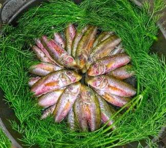 ������������ ����������: ��� ������ � ���������� ����������� ������ ��������