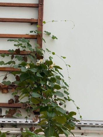 � ����� � ������������� ������������ ������