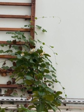 � ����� � ������������� ������������ ������