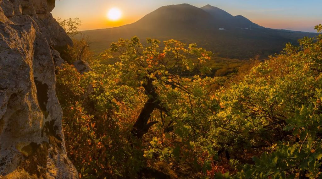 ������������: ��������� ��������� �� �������