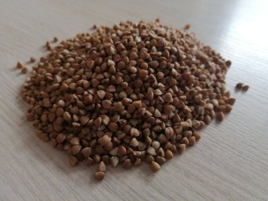 ������� ����������� ������� � ����: ����� �������� ����� �������