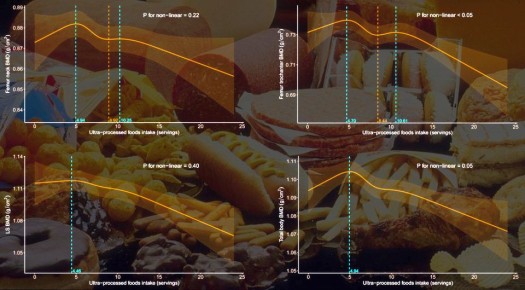 ������������������ ���� ����� �������� �������� ������