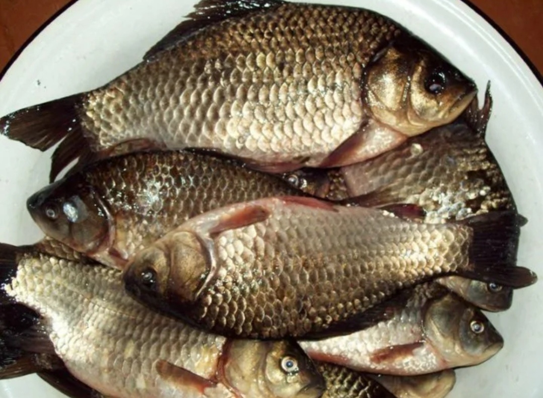 Как приготовить нежные жареные караси без косточек: простая пошаговая инструкция