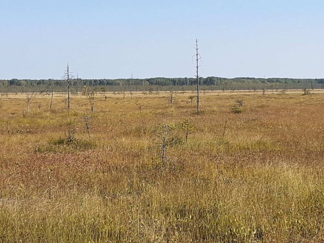 ������� �����: ��� �� ������ ������� ������, � ��������� � ������� �������