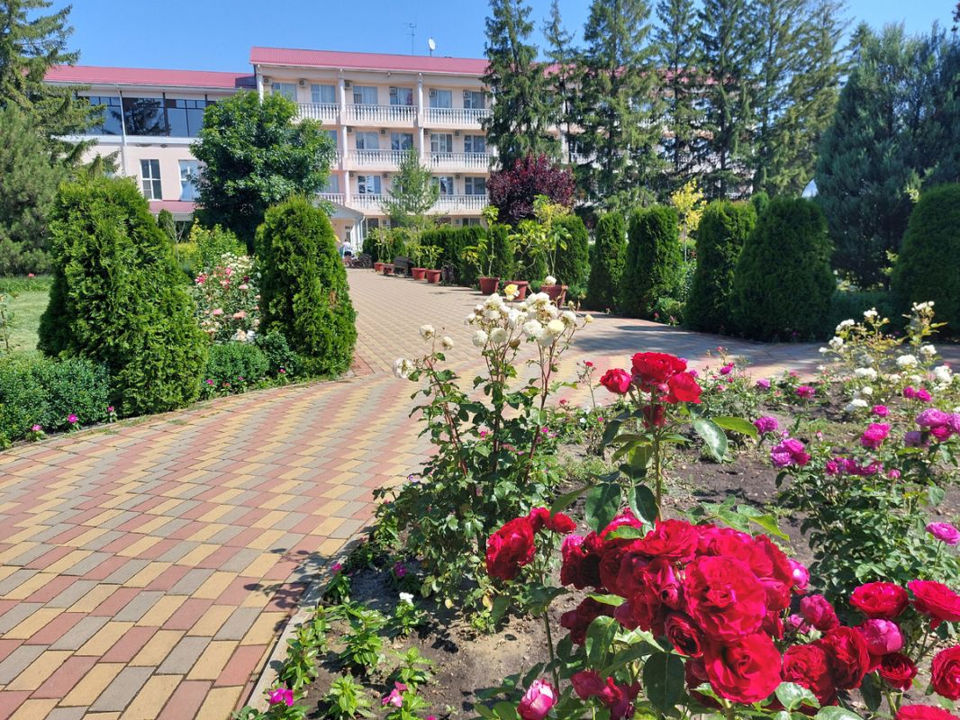 ����������� � �������� � ���������: ����� �� ������������ �� �������?