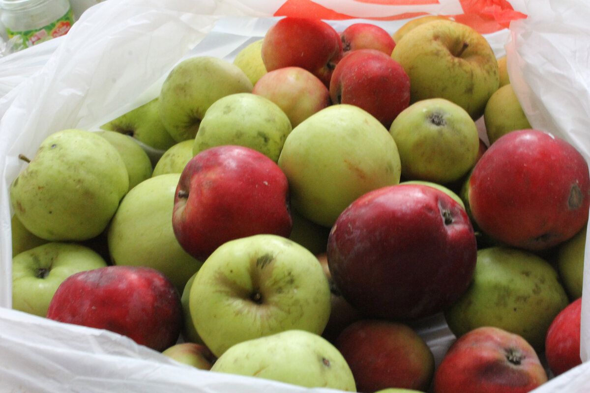 ��� ���������� ����������������� ������ � ������ ����: ������� ������ �� ����