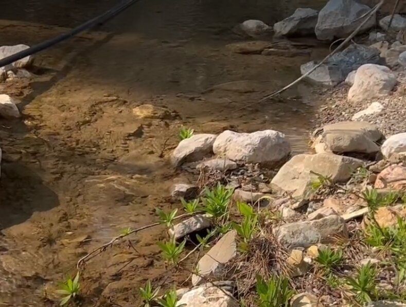 ���������� ����� �������: ���� � ���� � �������