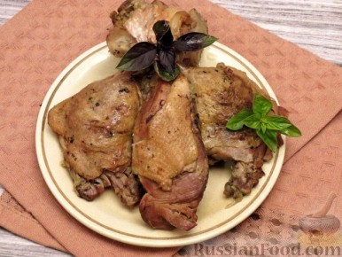 ���� �� ��� ����: ���� ���� ��� ��������