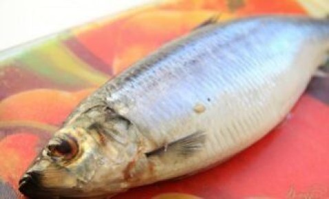 ������� � �������: ��������� �������